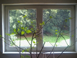 &nbsp;&nbsp;&nbsp;&nbsp;&nbsp;&nbsp;&nbsp;&nbsp;&nbsp;&nbsp;&nbsp;&nbsp;inca nu m-am hotarit ce fotografie pun